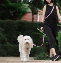 Convertible Leash Plus+ Sage