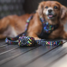 Poo Bag Holder - Aztec Rainbow