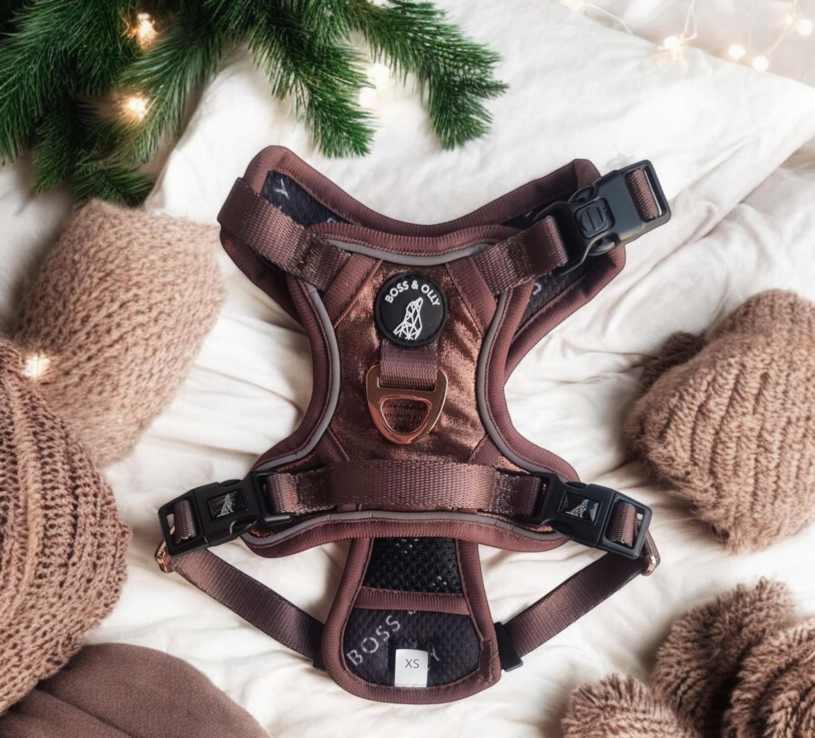 Cinnamon (Limited Edition)