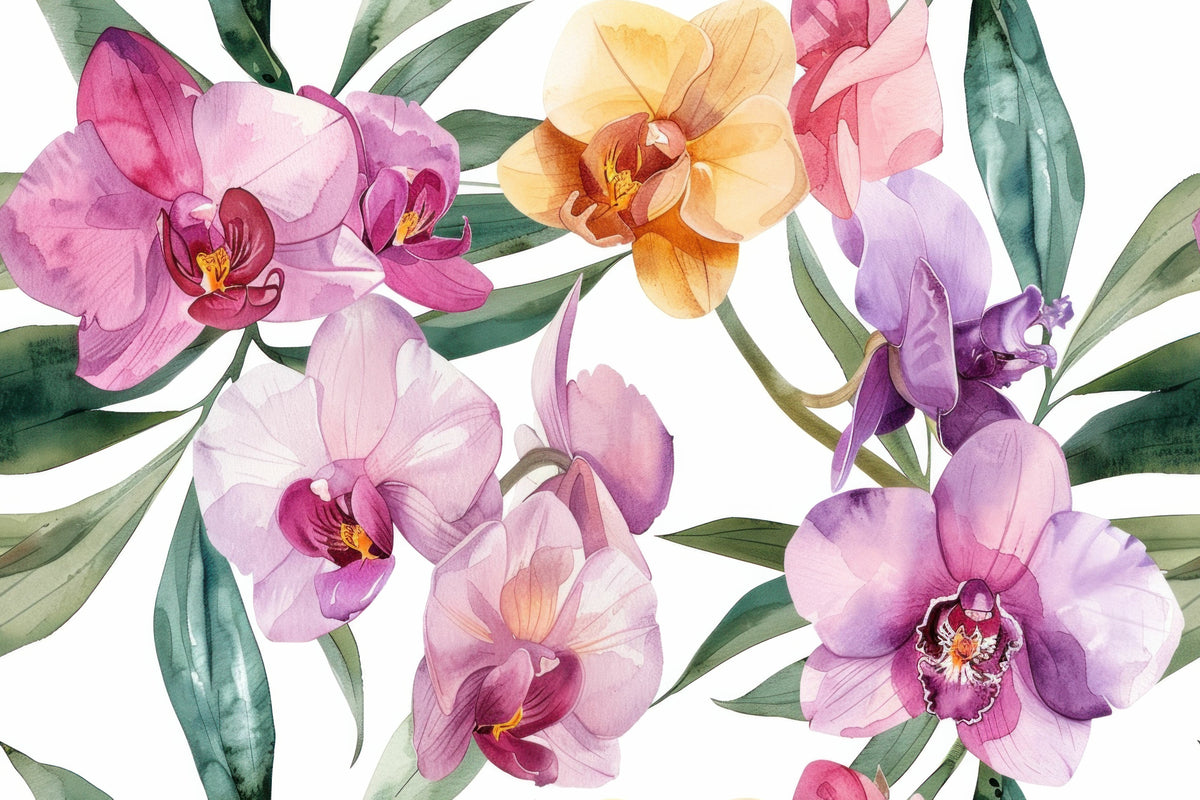 Orchid – Boss & Olly