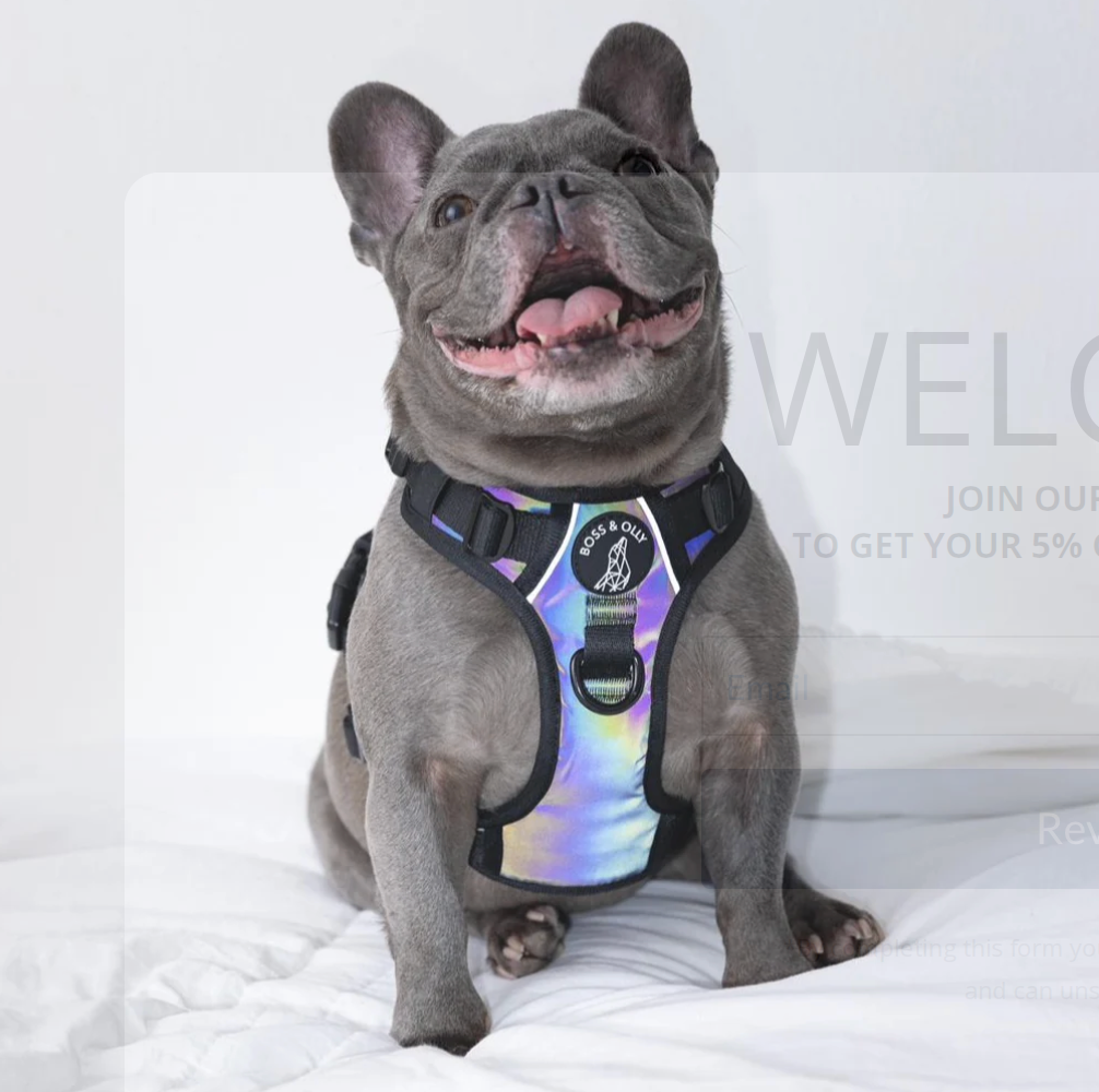 Mystique (Reflective Series)