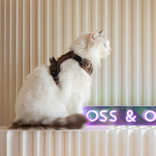 Boss & Olly Active Harness in Cinnamon with metallic sheen and rose gold hardware, displayed against a neutral backdrop.