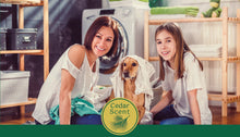 SEEDShub - HAIR REMOVAL LAUNDRY DETERGENT