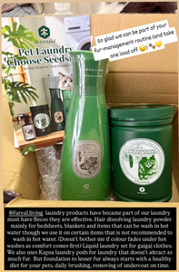 SEEDShub - HAIR DISSOLVING LAUNDRY POWDER