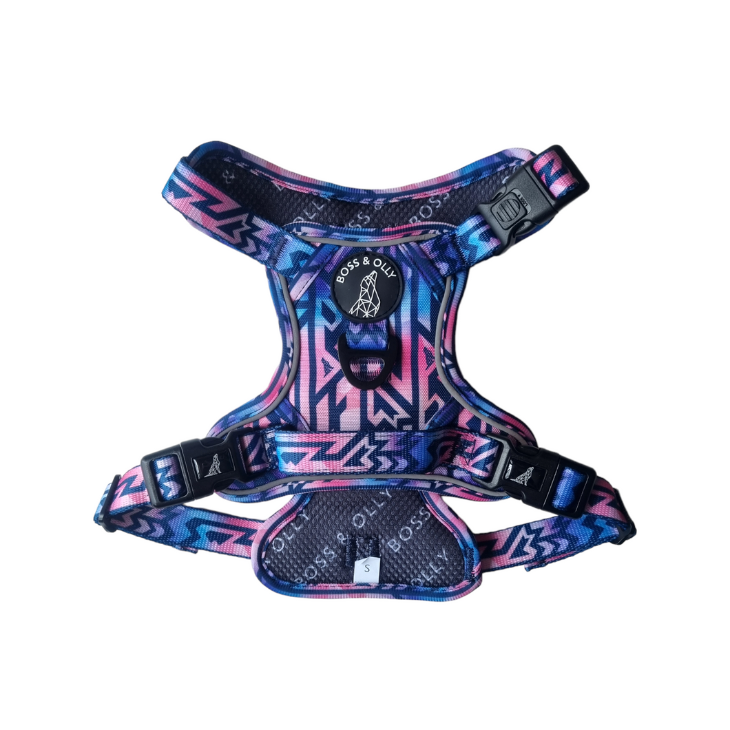 Personalised Harness - Ombre