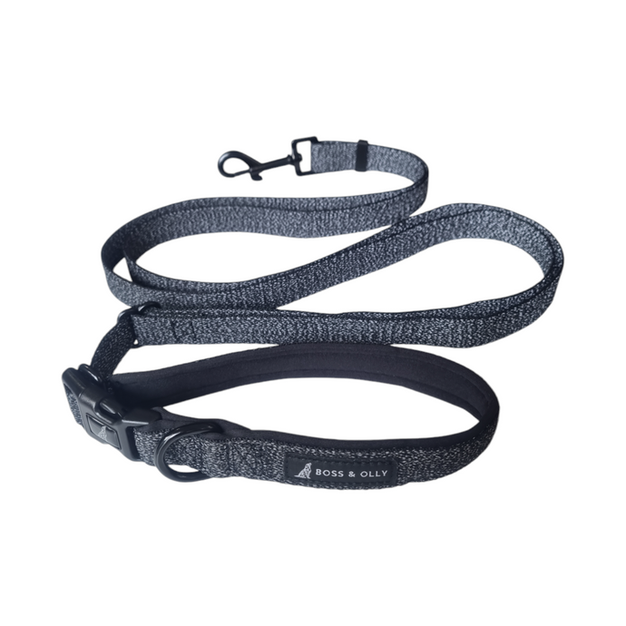 Convertible Leash Plus+  Black Reflective