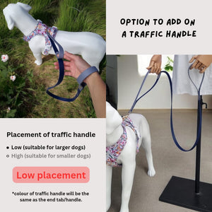 Waterproof Adjustable Leash (One gliding, one fixed ring)