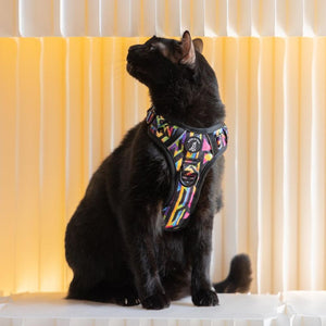 Active Harness - Aztec Rainbow