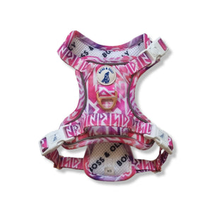 Personalised Harness - Fruity