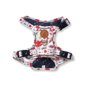 Personalised Harness - Autumn