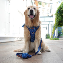 Active Harness - Blue Batik