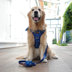 Active Harness - Blue Batik