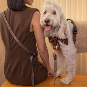 Active Harness - Cinnamon