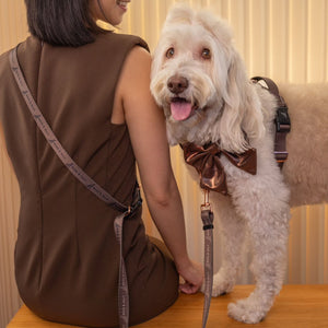 Convertible Leash Plus+ -Cinnamon