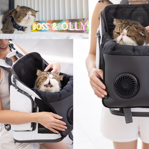 Pet Stroller Fan