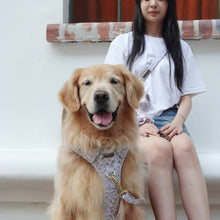 Active Harness - White Batik