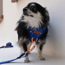 Active Harness - Blue Batik