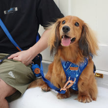 Active Harness - Blue Batik