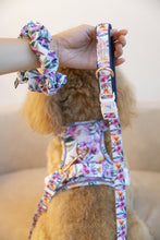 Convertible Leash Plus+ Orchid (Backorder: ETA Feb)