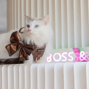 White cat wearing a cinnamon-colored active harness with a metallic sheen, paired with a matching oversized bow, sitting in front of a Boss & Olly sign.