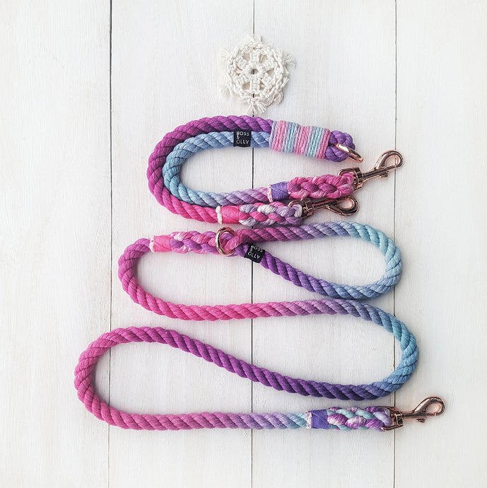 Winter Aurora Rainbow Leash