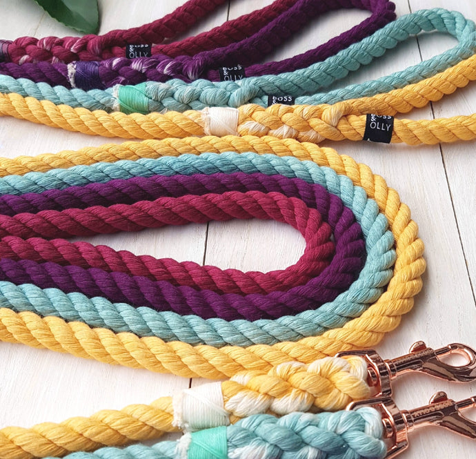 Customise a Solid colour leash