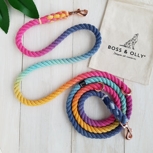 Melted Crayons : Autumn Rainbow Leash