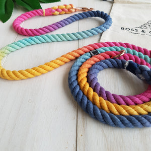 Melted Crayons : Autumn Rainbow Leash