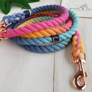 Melted Crayons : Autumn Rainbow Leash