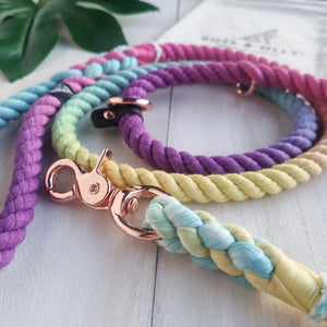 The Kaleidoscope: SPRING/SUMMER Rainbow Leash