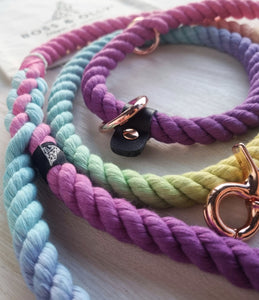 The Kaleidoscope: SPRING/SUMMER Rainbow Leash