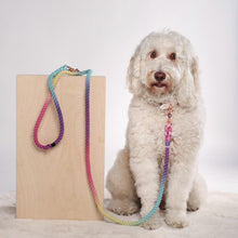 The Kaleidoscope: SPRING/SUMMER Rainbow Leash