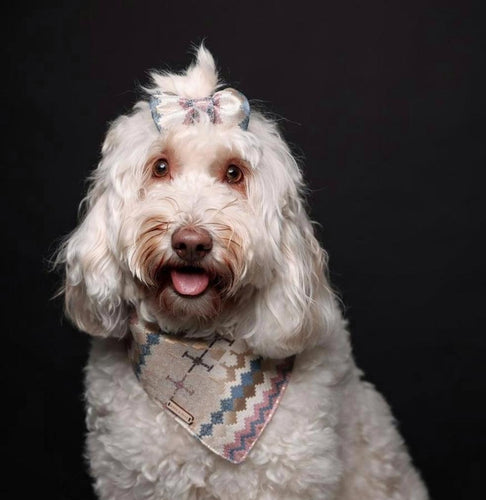 Dreamy Pastel and Gold Dog Bandana