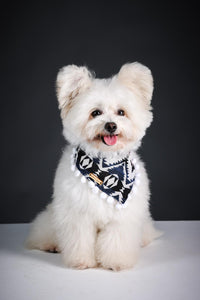 Voyager Dog Bandana with choice of pom poms or tassels