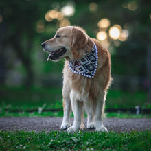 Voyager Dog Bandana with choice of pom poms or tassels