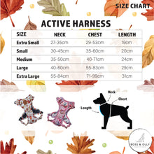 Active Harness - Lumberjack Plaids