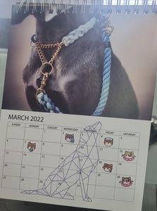 Pet Care Calendar Sticker Sheet (1pc)