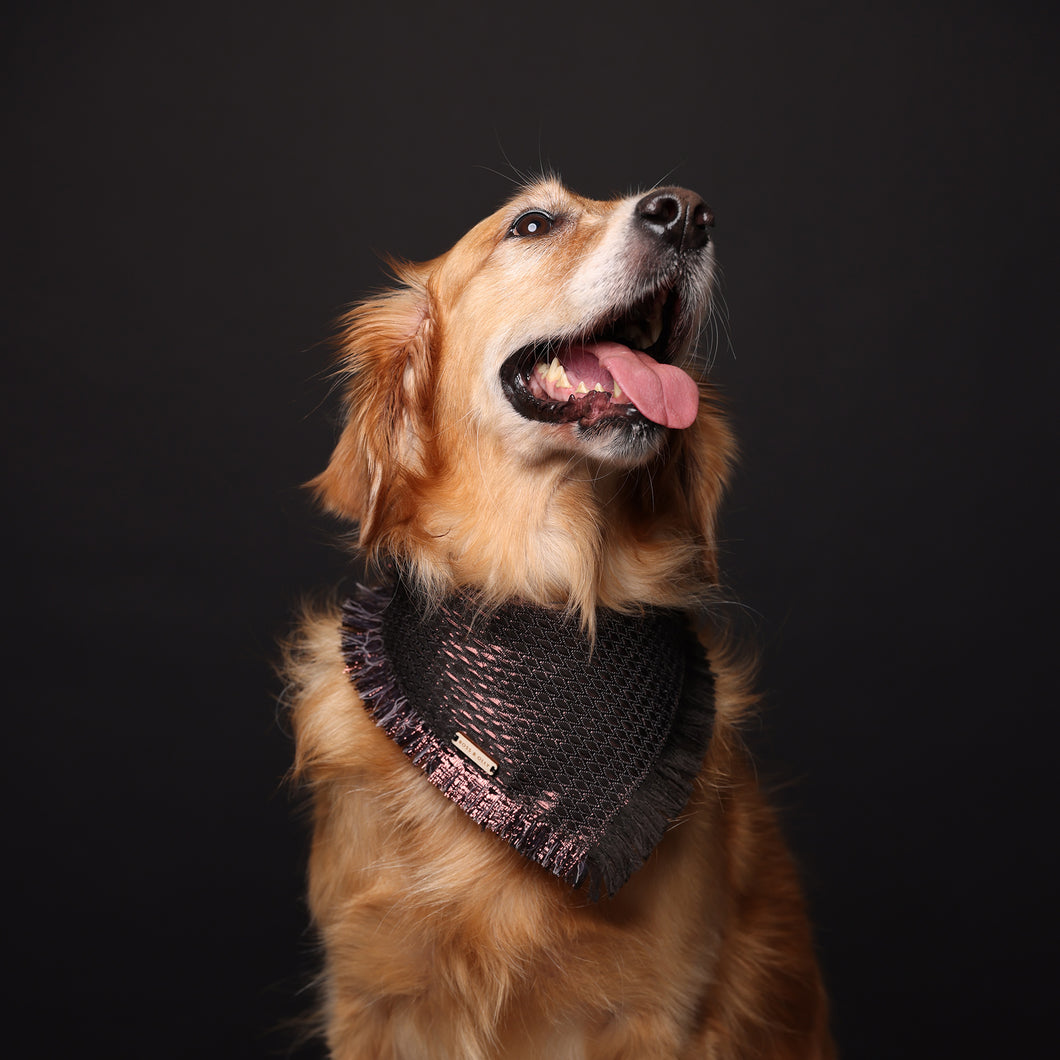 Dress Code: Black Tie - Black and Bronze Dog Bandana with Frayed edges