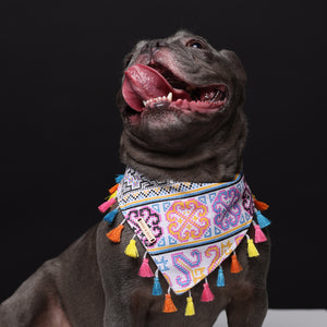 Summer Carnival Dog Bandana with Rainbow Tassels