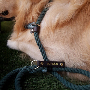 Strip leather dog tag/ luggage tag/ keychain