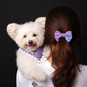Matching Hair Bows- Hair Clips for dogs and hoomans